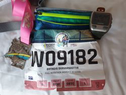 20191124_Penang Marathon 